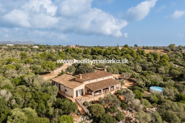 Na predaj finca s veľkým pozemkom v Porto Cristo, Malorka