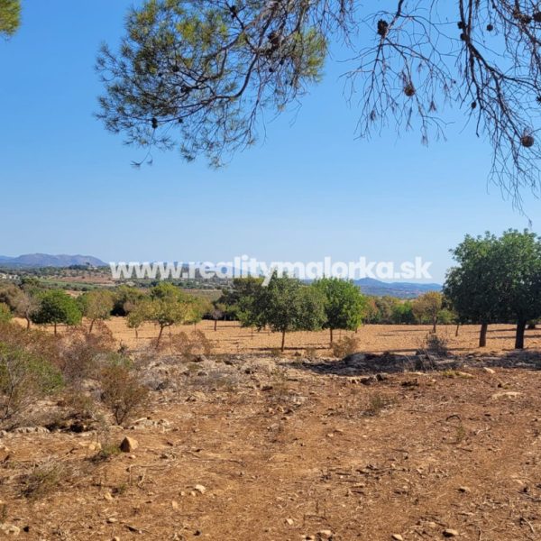 Na predaj pozemok s projektom v blízkosti Manacoru na Malorke